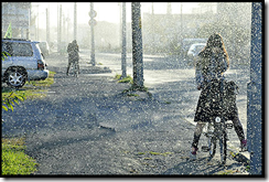 苫小牧民報雪虫