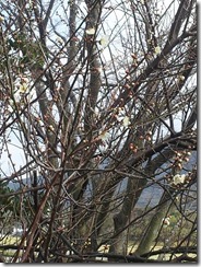 12644858_10205923464227765_748306374774155115_n