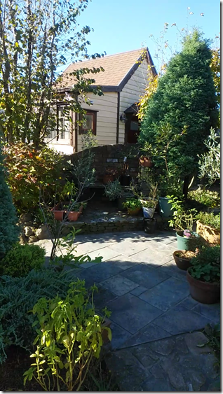 Screenshot_20181107-132356