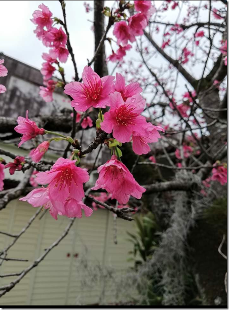 Screenmemo_2021-02-03-16-31-50 (2)