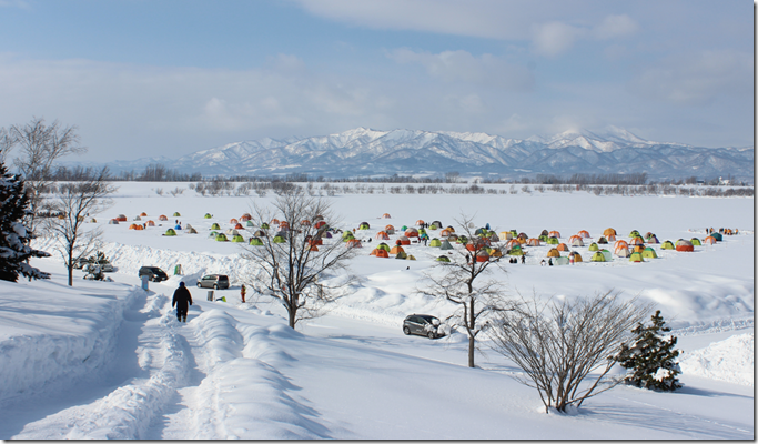 オアシスパークで楽しもう