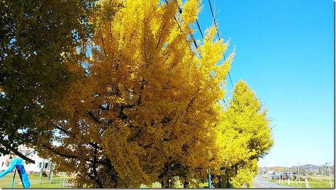 IMG_20231030_111941 IMG_20231030_111941