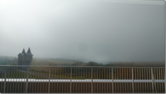 IMG_20231031_092933 IMG_20231031_092933