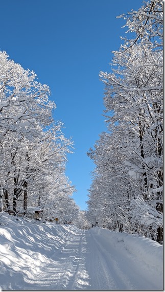 PXL_20240113_010614361.PORTRAIT.ORIGINAL