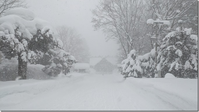 PXL_20240115_022036962