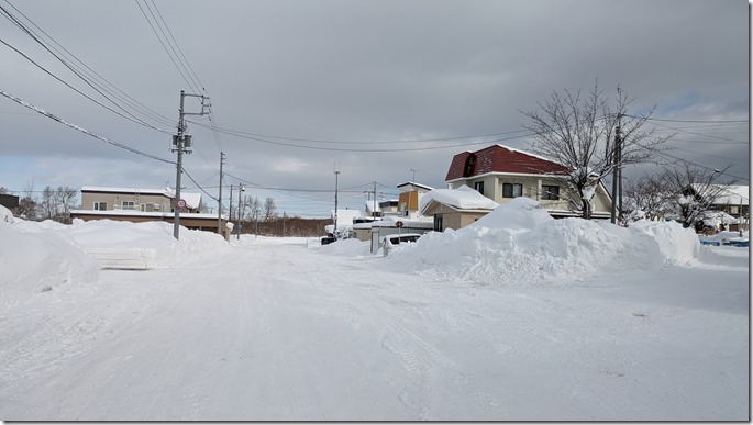 PXL_20240117_012831574