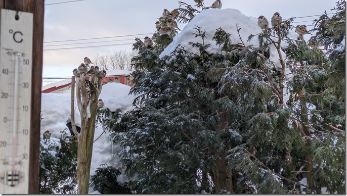 PXL_20240206_221843478