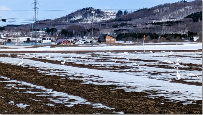 PXL_20240327_031931768