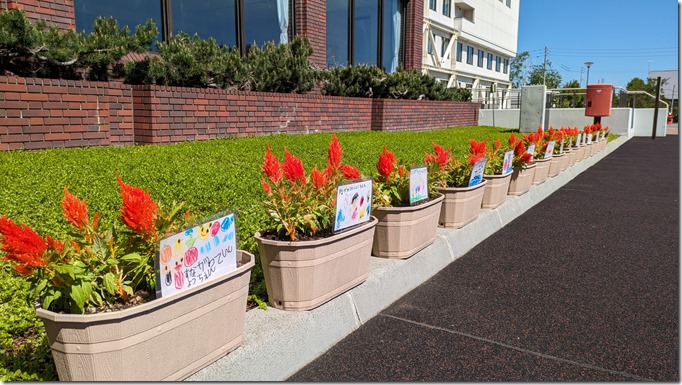 PXL_20240516_000909561