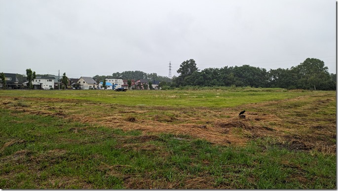 PXL_20240729_061452531