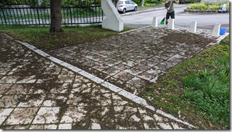 PXL_20240803_225012606