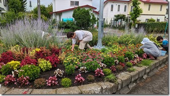 PXL_20240803_225932247