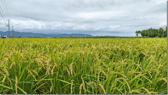 PXL_20240814_022552581