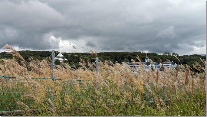 PXL_20240814_030149847