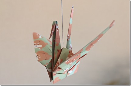 PXL_20240825_030209191