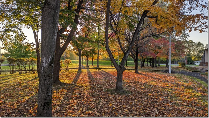 PXL_20241016_072105949