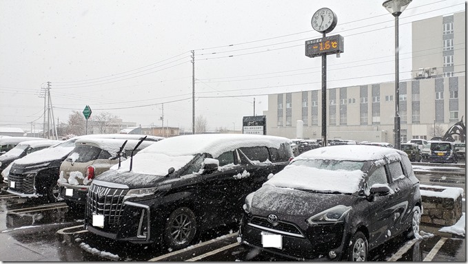 PXL_20241118_023221577