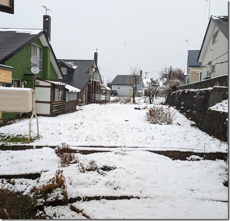 PXL_20241129_033833988