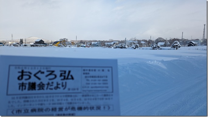 PXL_20241218_045302953