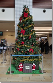 PXL_20241219_015726155