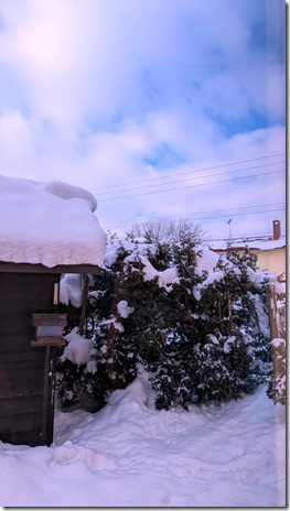 PXL_20250101_001656593