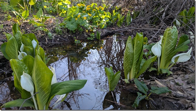 PXL_20250430_072531972