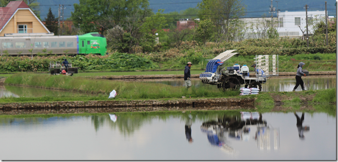 田植えR73