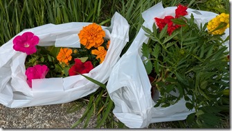 PXL_20250518_033743265