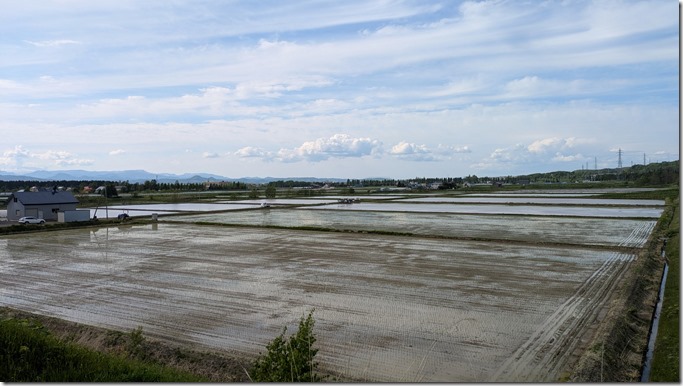 PXL_20250524_061341851