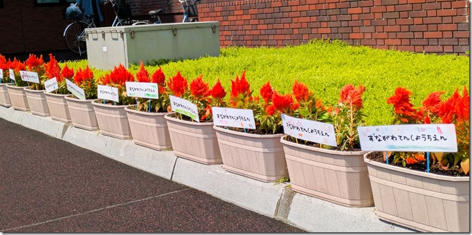 PXL_20250602_004125565