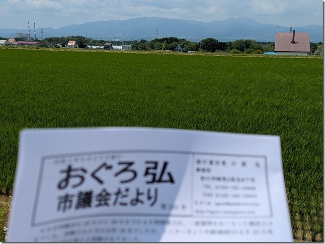 PXL_20250701_022632896.PORTRAIT.ORIGINAL