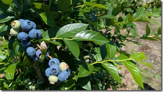 PXL_20250705_023133704