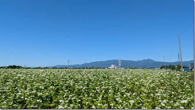 PXL_20250709_010208104