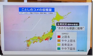 PXL_20250831_000257207