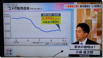 PXL_20250831_000443947