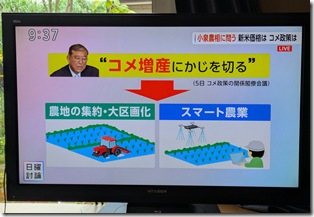 PXL_20250831_003713200