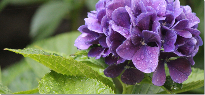 スクリーンショット 2025-08-17 161717