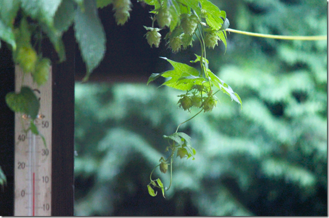 スクリーンショット 2025-08-19 105821