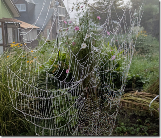 スクリーンショット 2025-09-08 155710