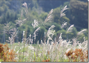 スクリーンショット 2025-09-04 164004