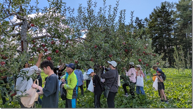 PXL_20250927_012751608