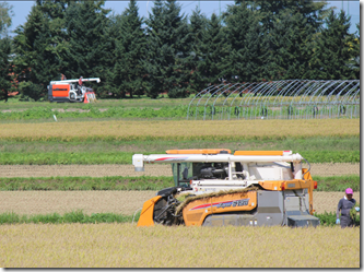 スクリーンショット 2025-09-05 115342