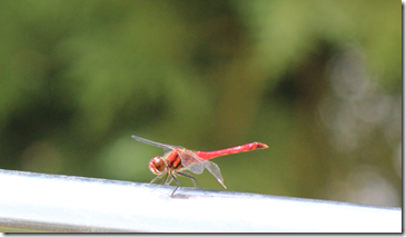 スクリーンショット 2025-09-04 163851