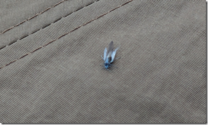 スクリーンショット 2025-10-12 121335