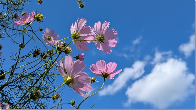 PXL_20251002_033714315