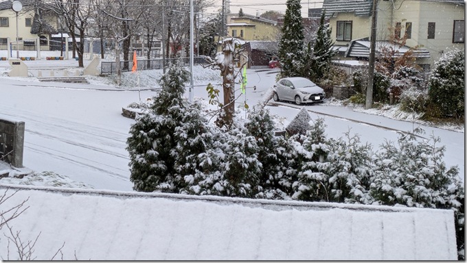 PXL_20251107_213633840