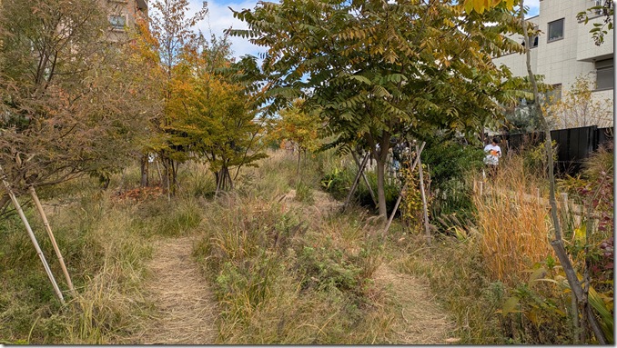 PXL_20251116_020224926