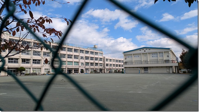 PXL_20251116_024657720