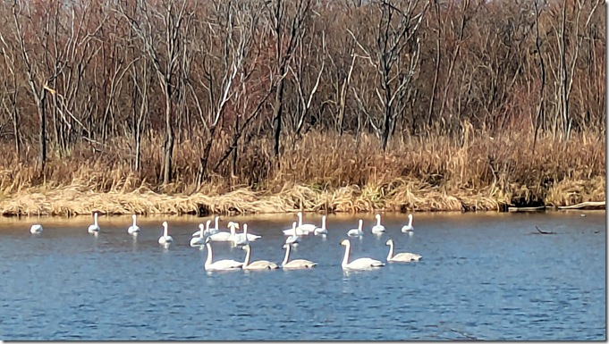 PXL_20251125_015707107[5]