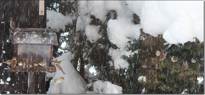 スクリーンショット 2025-12-11 130244